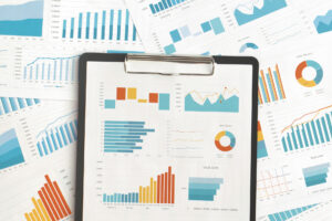 Potrošnja države kroz javnu nabavu za 2024. godinu